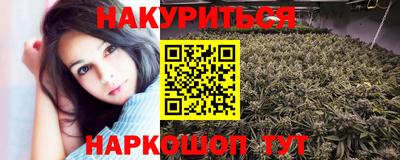 прущие грибы Новозыбков