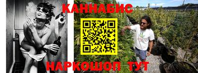 прущие грибы Новозыбков