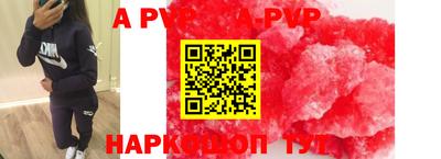 прущие грибы Новозыбков